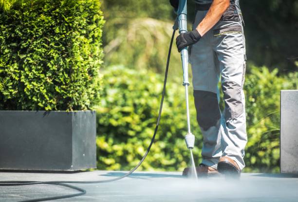 Best Building Exterior Washing  in Pittsfield, IL