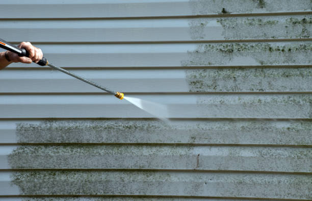 Best Gutter Cleaning  in Pittsfield, IL